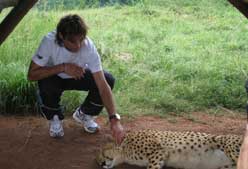 Imagen de Galeria de David Ferrer se entrena con leones