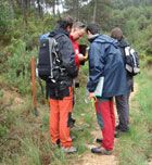Imagen de Galeria de Curso básico de orientación