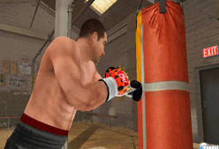 Imagen de Galeria de Don King: El Boxeo