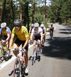 Imagen de Galeria de I Marcha Comisión Nacional de Cicloturismo de la RFEC