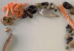 Imagen de Galeria de Aumenta el metabolismo comiendo marisco