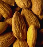 Imagen de Galeria de Almendras para los fumadores
