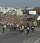 Imagen de Galeria de Medio maratón Sevilla Los Palacios