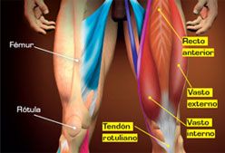 Imagen de Galeria de Extensiones de rodilla