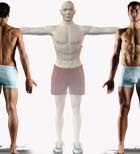 Imagen de Galeria de  100 ejercicios de musculación en vídeo. Gratis