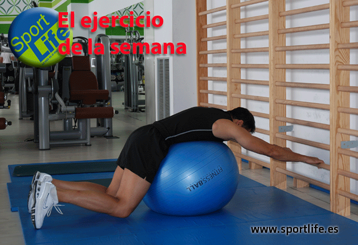 Imagen de Galeria de Relaja y estira tu zona lumbar