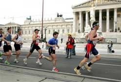 Imagen de Galeria de Viaje al maratón y media maratón de Viena:¡ÚLTIMAS PLAZAS!