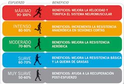 Imagen de Galeria de Pulsómetro POLAR RS300Xsd, ¡este mes lo sorteamos!