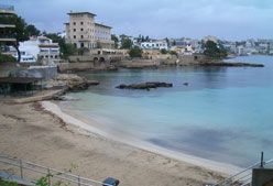 Imagen de Galeria de ¡Madridpatina te lleva a Mallorca!