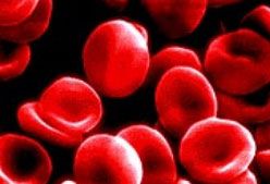 Imagen de Galeria de ¿Cómo prevenir la anemia?