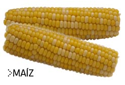 Imagen de Galeria de Los Alimentos-Corazón