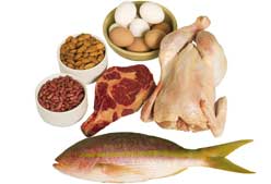 Imagen de Galeria de ¿Hidratos o proteínas?