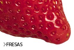 Imagen de Galeria de ¿Alimentos que adelgazan?