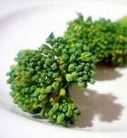 Imagen de Galeria de Bimi, la nueva súper hortaliza baja en calorías y rica en salud