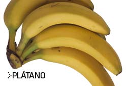 Imagen de Galeria de Los Alimentos-Fitness