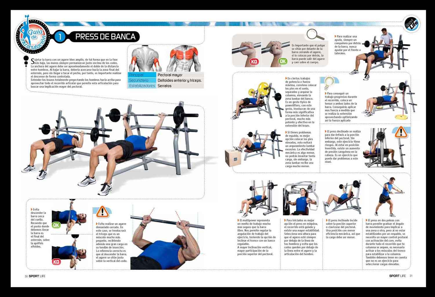Imagen de Galeria de Nuevo coleccionable de musculación en Sport Life