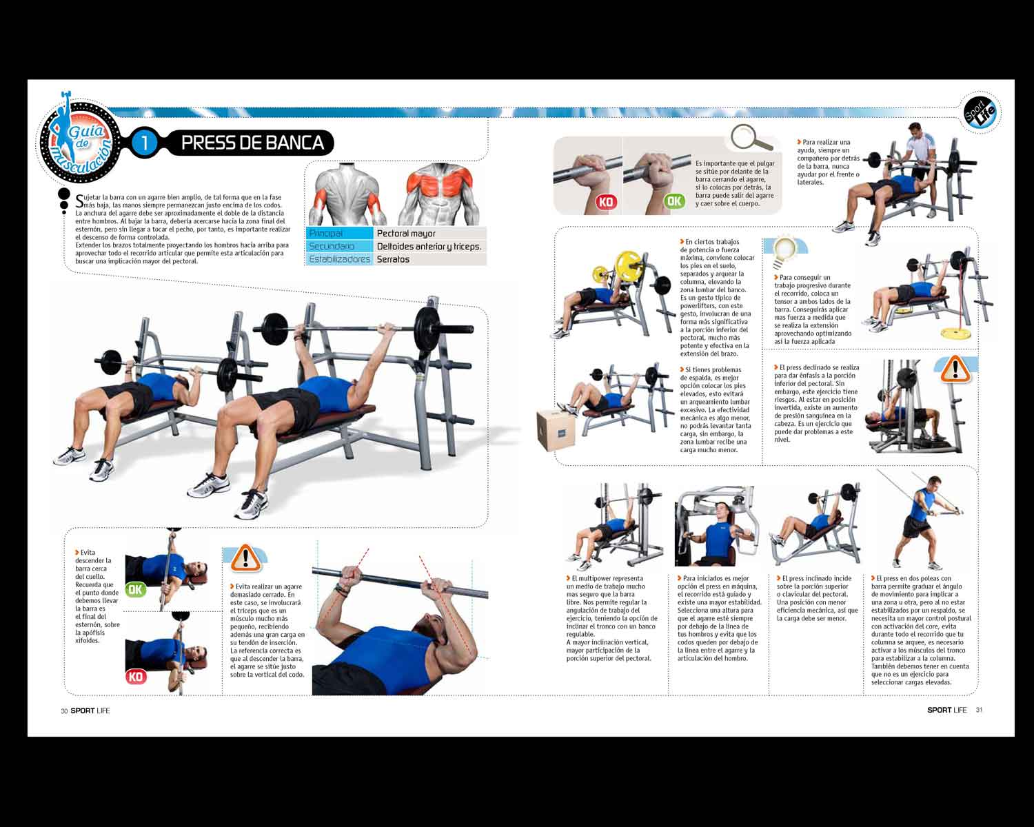 Imagen de Galeria de Nuevo coleccionable de musculación en Sport Life
