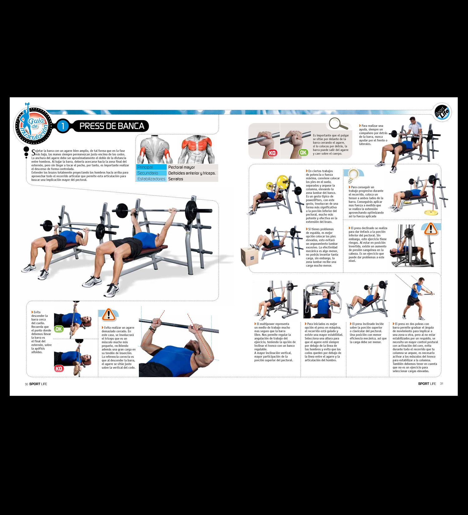 Imagen de Galeria de Nuevo coleccionable de musculación en Sport Life