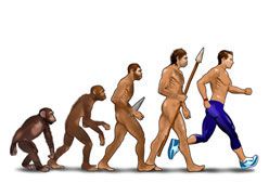 Imagen de Galeria de El cuerpo humano, diseñado para moverse