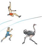 Imagen de Galeria de El cuerpo humano, diseñado para moverse