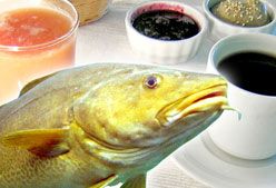 Imagen de Galeria de ¿Dónde están las mejores proteínas?