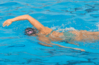 Imagen de Galeria de ¡No más dolores de espalda!