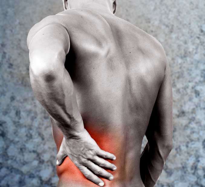 Imagen de Galeria de ¡No más dolores de espalda!