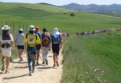 Imagen de Galeria de 101 km de Ronda