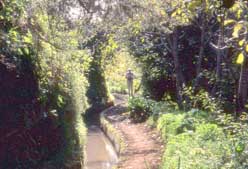 Imagen de Galeria de Siguiendo los 'Caminos de Agua' en Madeira