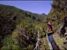 Imagen de Galeria de Siguiendo los 'Caminos de Agua' en Madeira