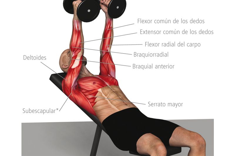 Apertura pectoral primer movimiento