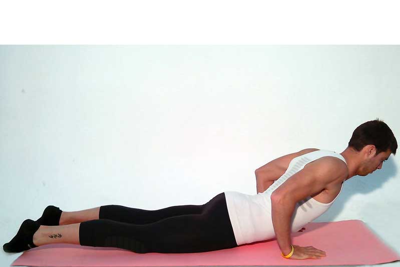 Hombros y pectorales