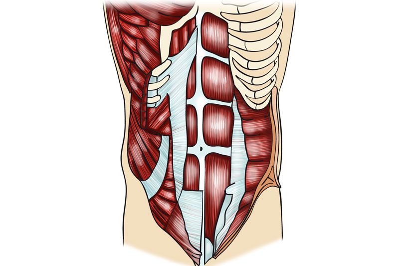 Corte abdominal