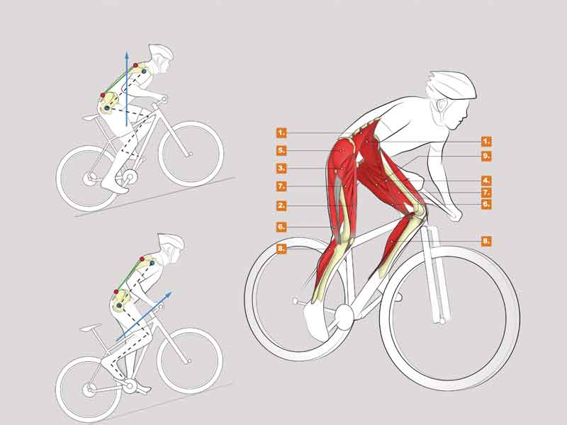 Galería aprovecha al máximo tu energía en el pedaleo
