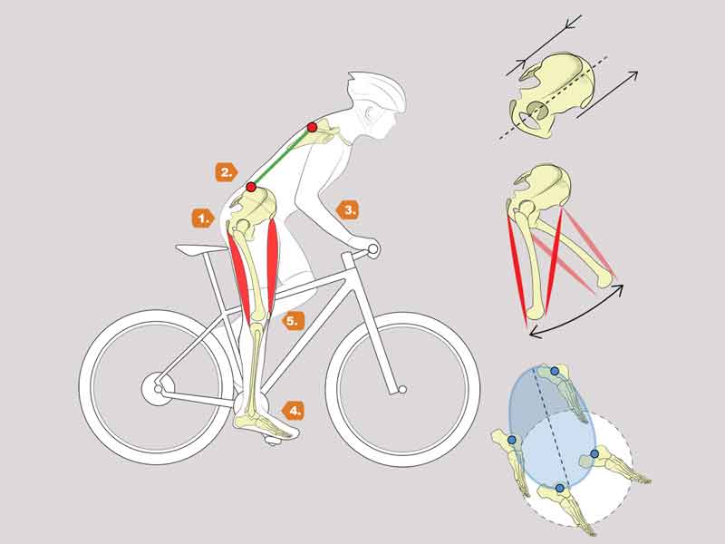 Galería aprovecha al máximo tu energía en el pedaleo
