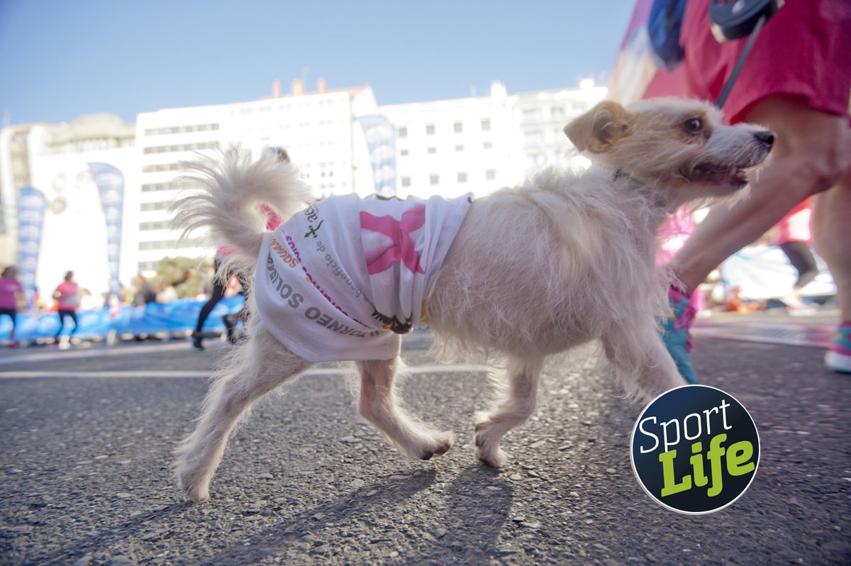 Carrera de la Mujer A Coruña 2015