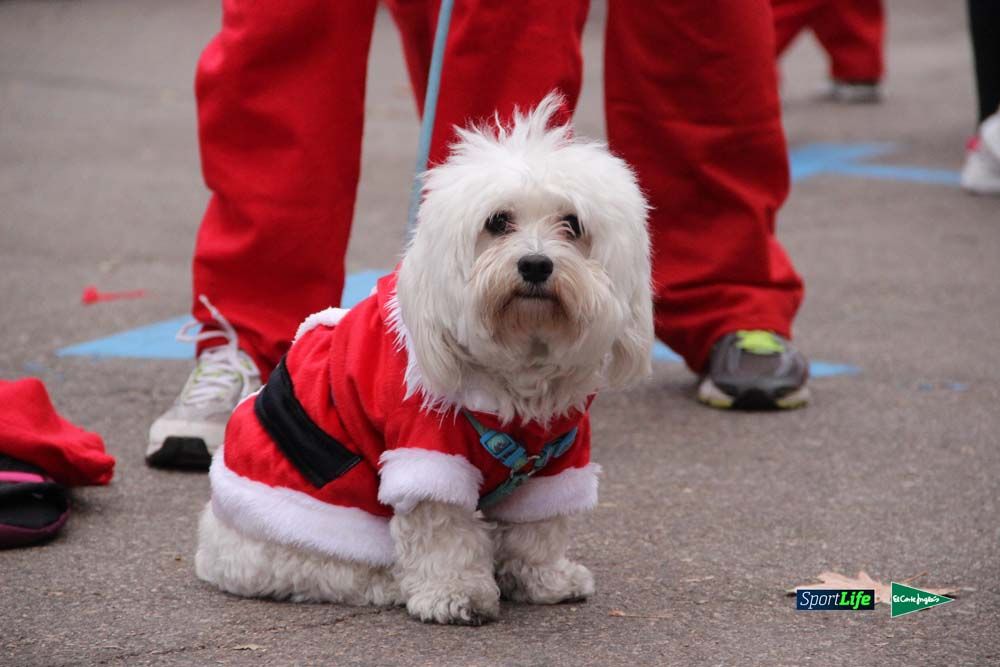 Galería de la Carrera de Papá Noel 2015 con los elfos-runners