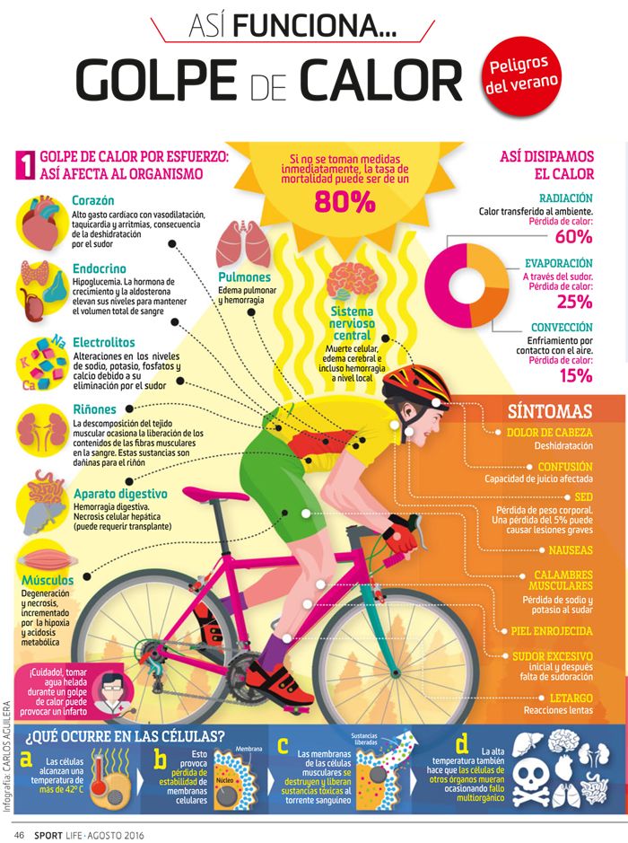 Lo que nos pasa por dentro cuando sufrimos un golpe de calor