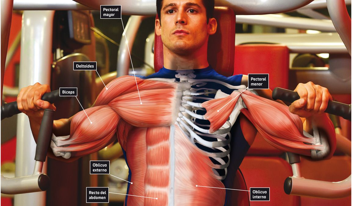 Los mejores ejercicios para trabajar pectoral