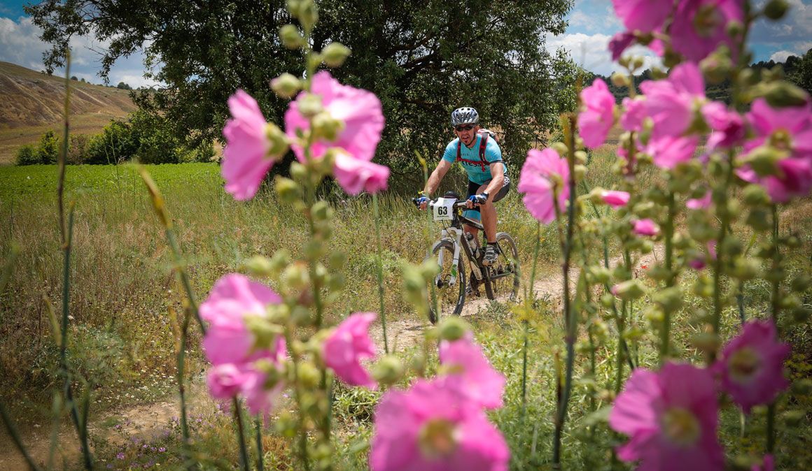 Las mejores fotos de la GAES Pilgrim Race 2018