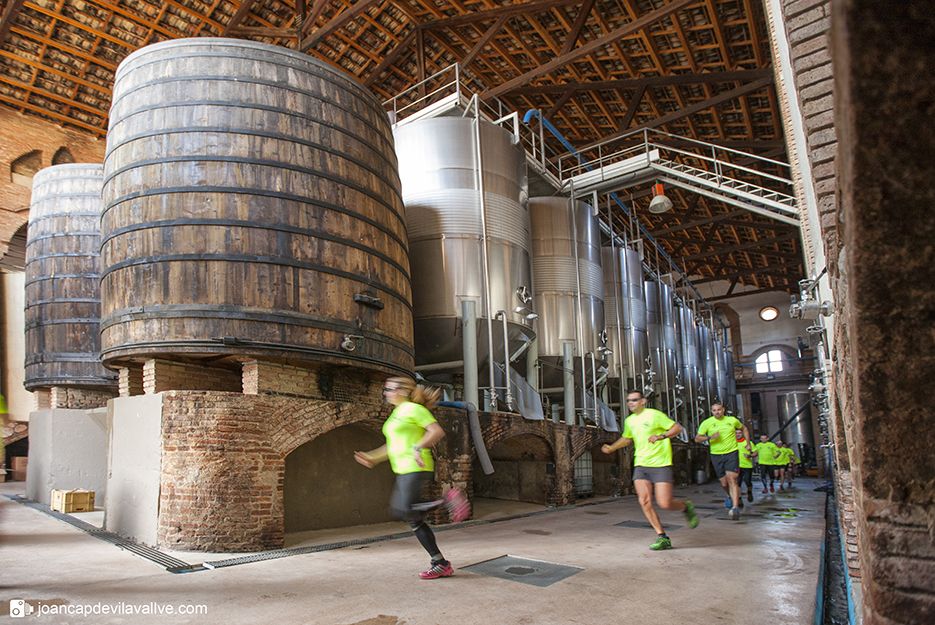 El maratón con vino en los avituallamientos
