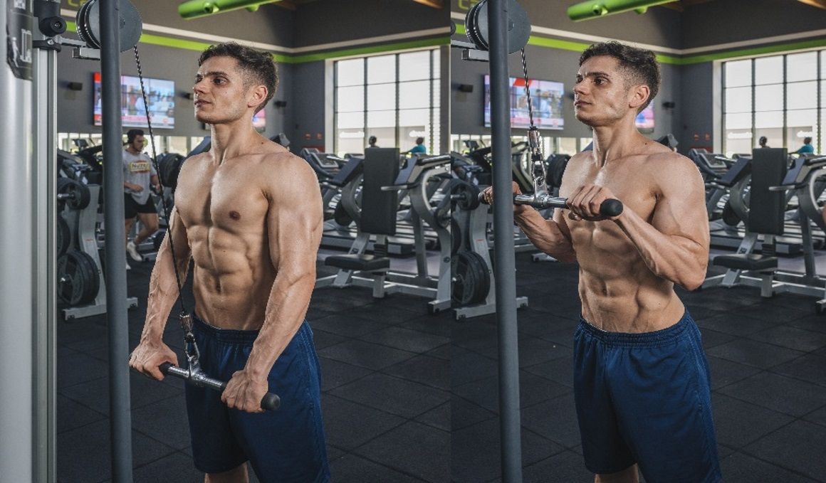 Los mejores ejercicios para el brazo