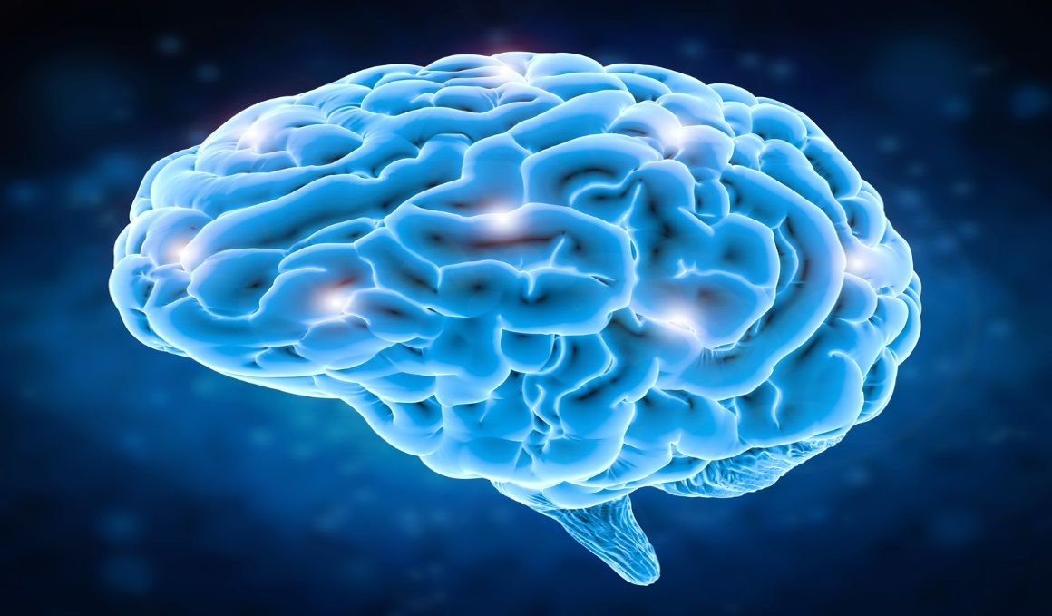 Así funciona... el metabolismo cerebral