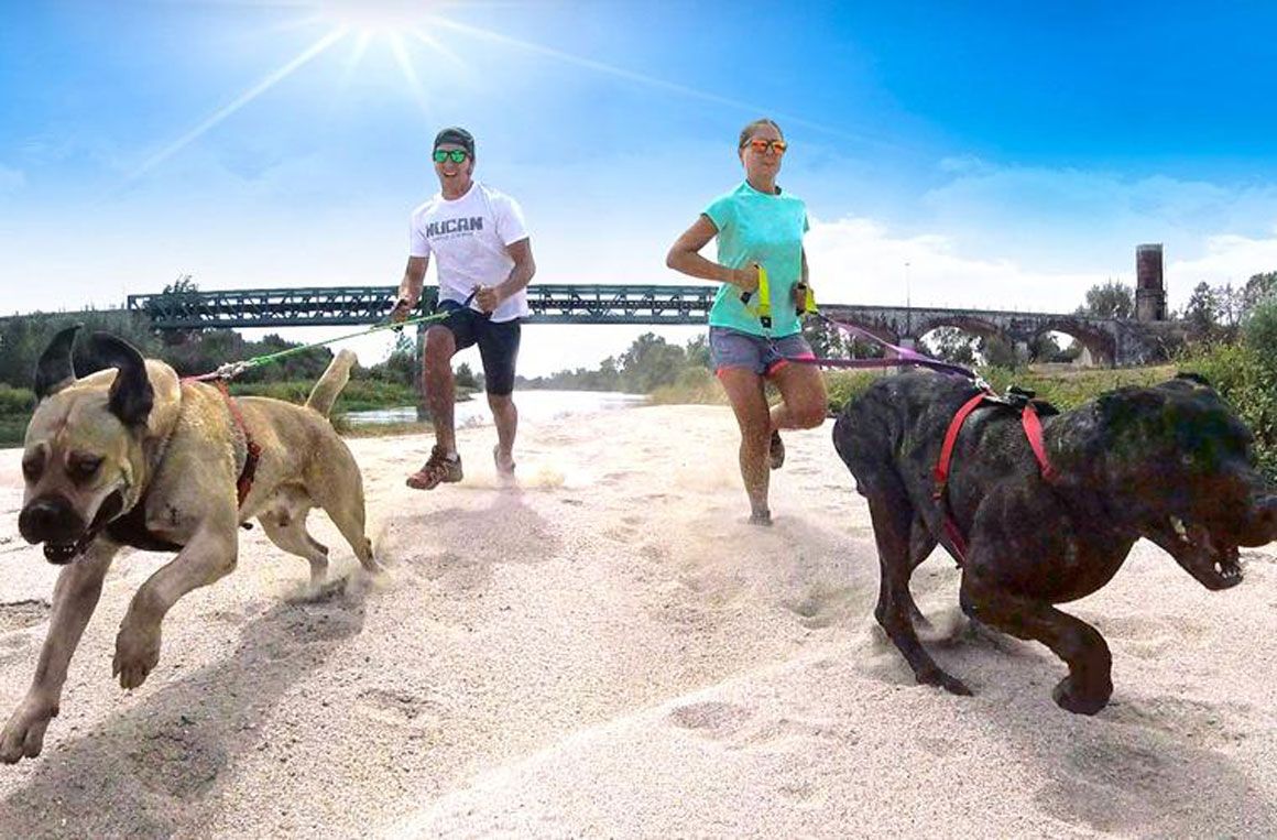 ¡Sé animal!, combina tu carrera con la de tu perro