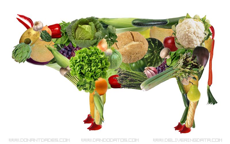 ¿Vegetariano de un día para otro o mejor en progresión?
