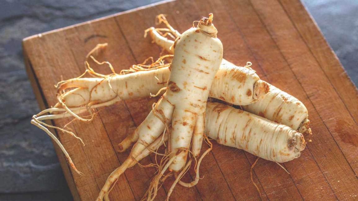 ¿Ginseng milagroso?