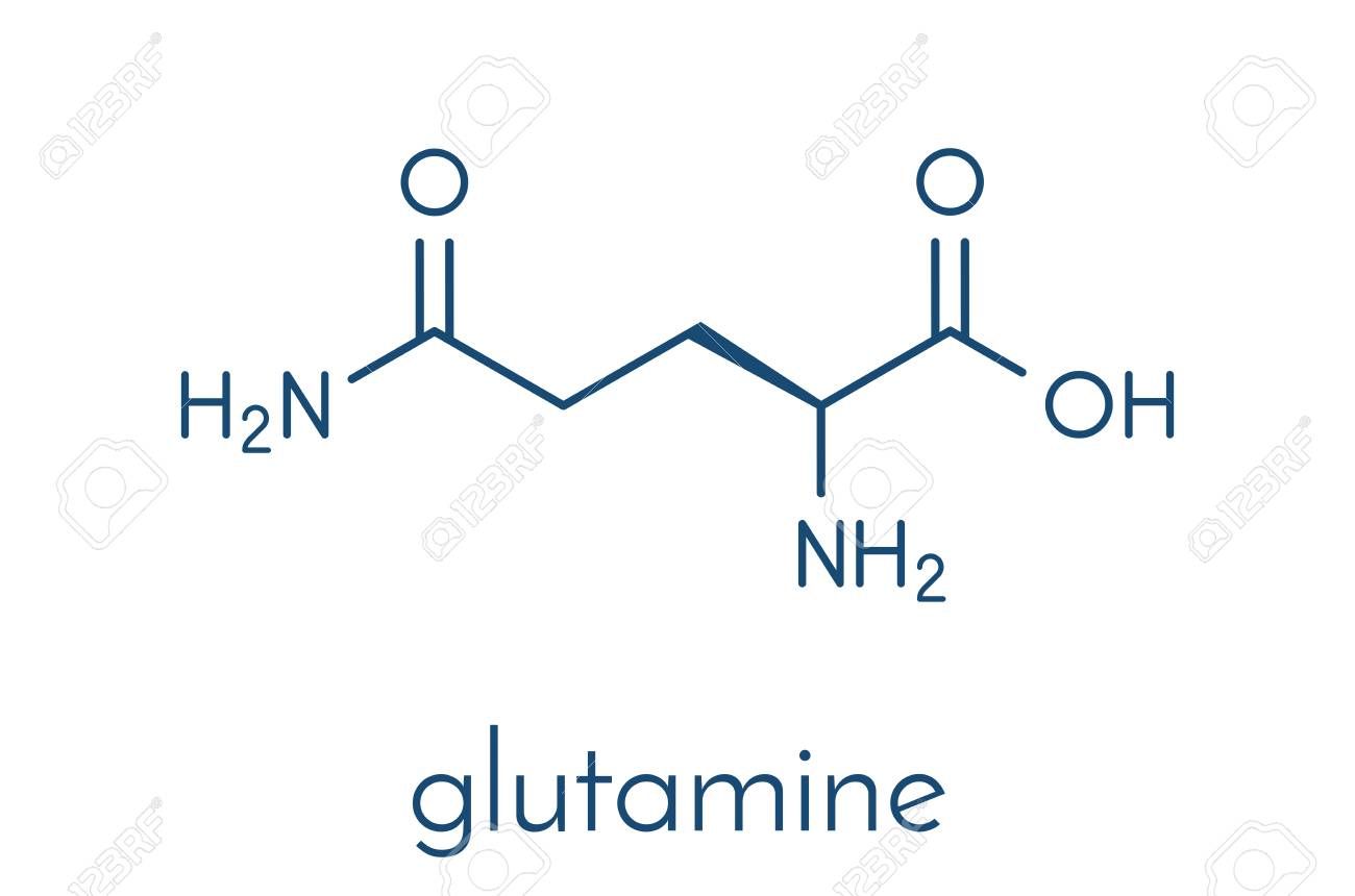 Glutamina, una solución para salir del sobreentrenamiento