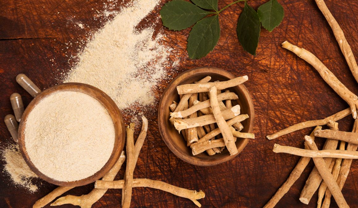 La ashwaghanda o ginseng indio de la medicina ayurvédica
