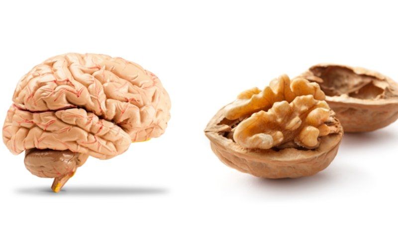 ¿Colesterol? ¡Come nueces!