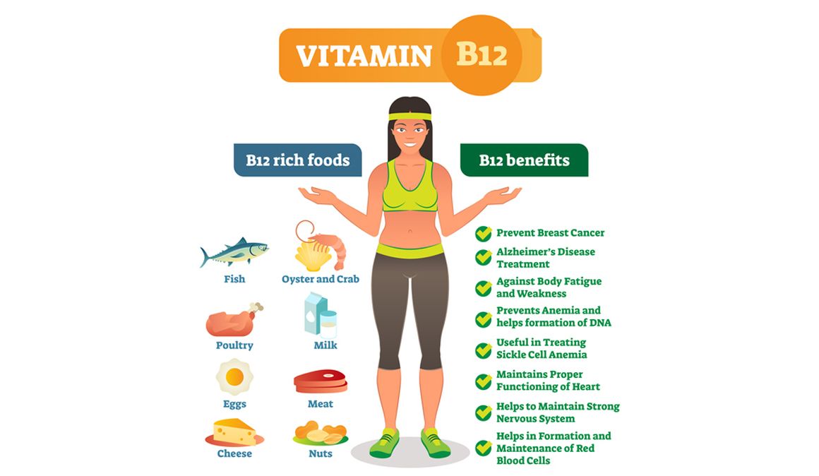Todo sobre la vitamina B12